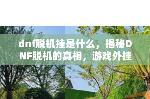 dnf脱机挂是什么,揭秘DNF脱机的真相,游戏外挂背后的故事 dnf脱机挂是什么,揭秘DNF脱机的真相,游戏外挂背后的故事