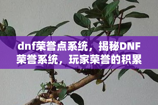 dnf荣誉点系统,揭秘DNF荣誉系统,玩家荣誉的积累与奖励机制 dnf荣誉点系统,揭秘DNF荣誉系统,玩家荣誉的积累与奖励机制