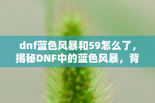 dnf蓝色风暴和59怎么了,揭秘DNF中的蓝色风暴,背后的故事与深层含义 dnf蓝色风暴和59怎么了,揭秘DNF中的蓝色风暴,背后的故事与深层含义
