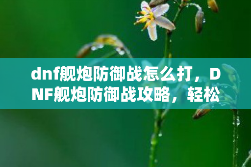 dnf舰炮防御战怎么打,DNF舰炮防御战攻略,轻松掌握游戏技巧,成为防御大师! dnf舰炮防御战怎么打,DNF舰炮防御战攻略,轻松掌握游戏技巧,成为防御大师!