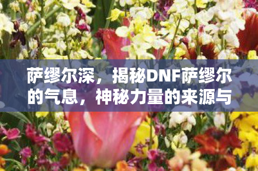萨缪尔深,揭秘DNF萨缪尔的气息,神秘力量的来源与影响 萨缪尔深,揭秘DNF萨缪尔的气息,神秘力量的来源与影响