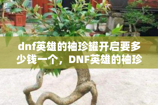 dnf英雄的袖珍罐开启要多少钱一个,DNF英雄的袖珍罐开启费用详解 dnf英雄的袖珍罐开启要多少钱一个,DNF英雄的袖珍罐开启费用详解