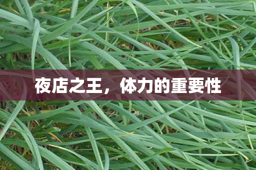 夜店之王,体力的重要性 夜店之王,体力的重要性