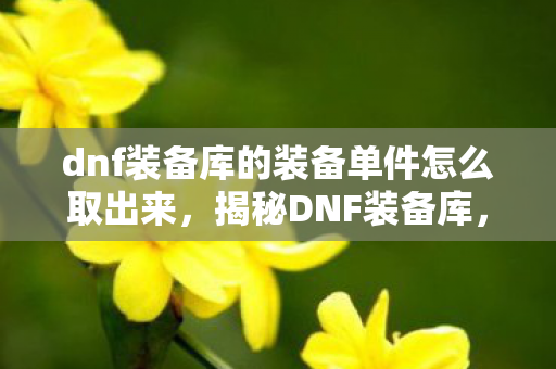 dnf装备库的装备单件怎么取出来,揭秘DNF装备库,如何打造无敌角色装备搭配攻略 dnf装备库的装备单件怎么取出来,揭秘DNF装备库,如何打造无敌角色装备搭配攻略