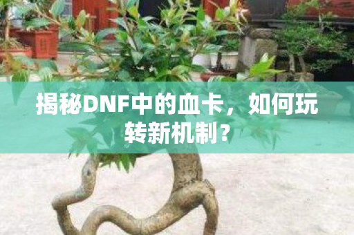 揭秘DNF中的血卡,如何玩转新机制? 揭秘DNF中的血卡,如何玩转新机制?