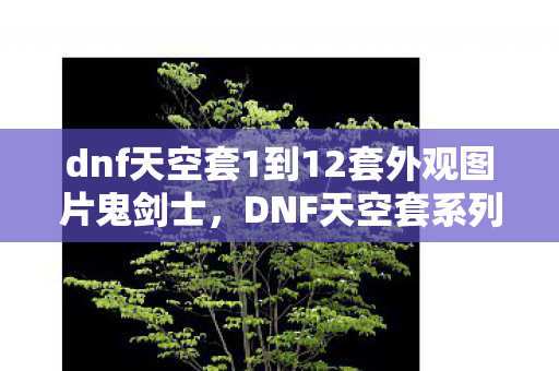 dnf天空套1到12套外观图片鬼剑士，DNF天空套系列，从一到十二套的外观展示与解析