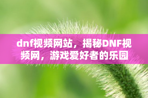 dnf视频网站,揭秘DNF视频网,游戏爱好者的乐园 dnf视频网站,揭秘DNF视频网,游戏爱好者的乐园