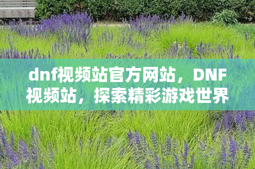 dnf视频站官方网站,DNF视频站,探索精彩游戏世界的窗口 dnf视频站官方网站,DNF视频站,探索精彩游戏世界的窗口