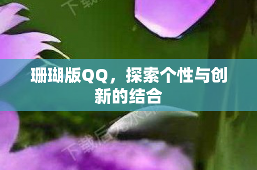 珊瑚版QQ,探索个性与创新的结合 珊瑚版QQ,探索个性与创新的结合