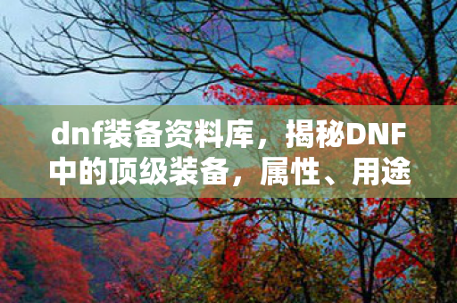 dnf装备资料库,揭秘DNF中的顶级装备,属性、用途与获取方式全解析 dnf装备资料库,揭秘DNF中的顶级装备,属性、用途与获取方式全解析