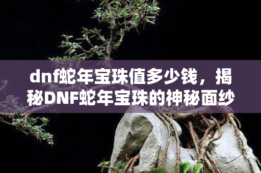 dnf蛇年宝珠值多少钱,揭秘DNF蛇年宝珠的神秘面纱 dnf蛇年宝珠值多少钱,揭秘DNF蛇年宝珠的神秘面纱