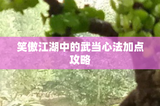 笑傲江湖中的武当心法加点攻略 笑傲江湖中的武当心法加点攻略