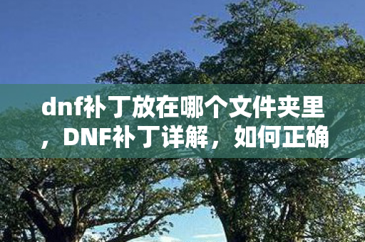 dnf补丁放在哪个文件夹里,DNF补丁详解,如何正确使用及注意事项 dnf补丁放在哪个文件夹里,DNF补丁详解,如何正确使用及注意事项