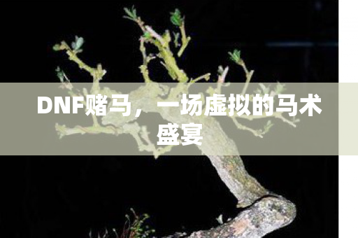 DNF赌马,一场虚拟的马术盛宴 DNF赌马,一场虚拟的马术盛宴