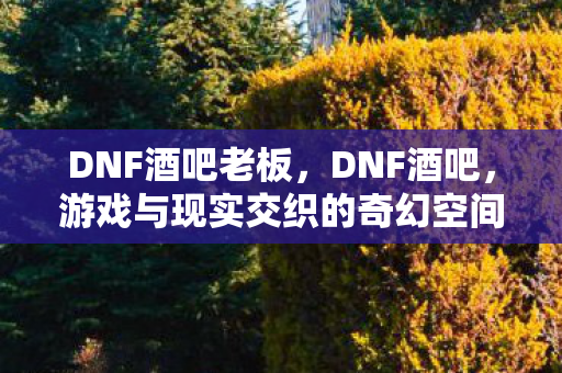 DNF酒吧老板,DNF酒吧,游戏与现实交织的奇幻空间 DNF酒吧老板,DNF酒吧,游戏与现实交织的奇幻空间
