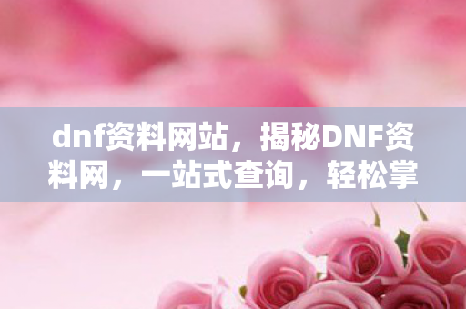 dnf资料网站，揭秘DNF资料网，一站式查询，轻松掌握游戏秘籍
