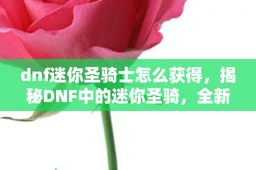 dnf迷你圣骑士怎么获得,揭秘DNF中的迷你圣骑,全新角色魅力与独特玩法体验 dnf迷你圣骑士怎么获得,揭秘DNF中的迷你圣骑,全新角色魅力与独特玩法体验