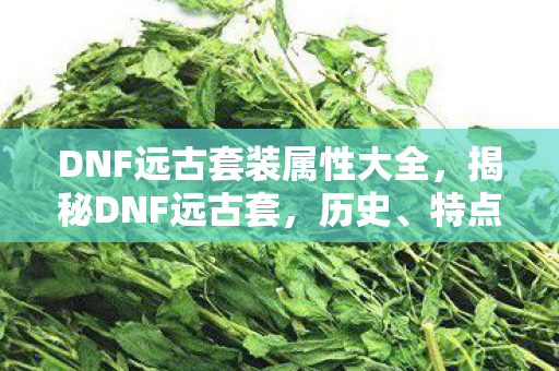 DNF远古套装属性大全，揭秘DNF远古套，历史、特点与获取途径