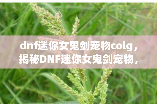 dnf迷你女鬼剑宠物colg，揭秘DNF迷你女鬼剑宠物，全新伙伴，独特魅力与强大能力揭秘