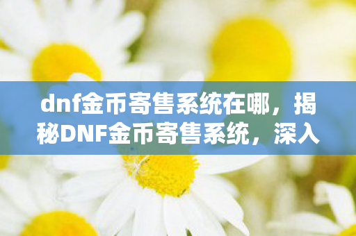 dnf金币寄售系统在哪，揭秘DNF金币寄售系统，深入了解其功能与价值