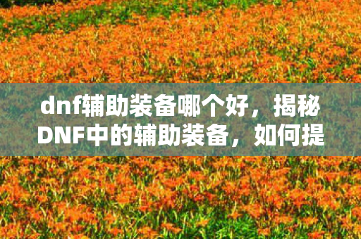 dnf辅助装备哪个好,揭秘DNF中的辅助装备,如何提升角色实力? dnf辅助装备哪个好,揭秘DNF中的辅助装备,如何提升角色实力?