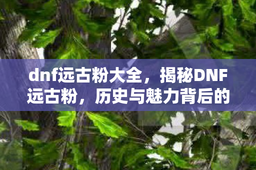 dnf远古粉大全,揭秘DNF远古粉,历史与魅力背后的故事 dnf远古粉大全,揭秘DNF远古粉,历史与魅力背后的故事