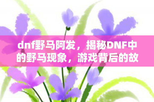 dnf野马阿发，揭秘DNF中的野马现象，游戏背后的故事与启示