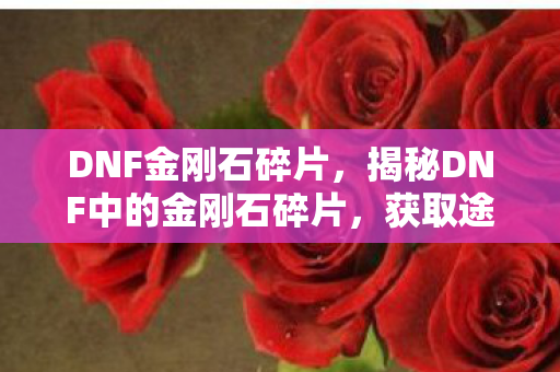 DNF金刚石碎片,揭秘DNF中的金刚石碎片,获取途径、用途及价值分析 DNF金刚石碎片,揭秘DNF中的金刚石碎片,获取途径、用途及价值分析