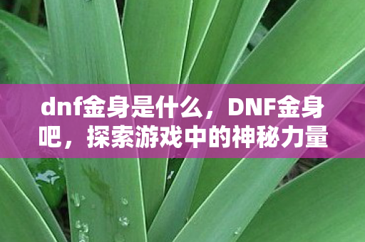 dnf金身是什么,DNF金身吧,探索游戏中的神秘力量 dnf金身是什么,DNF金身吧,探索游戏中的神秘力量