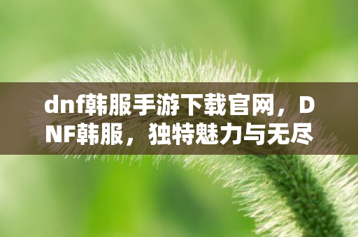 dnf韩服手游下载官网,DNF韩服,独特魅力与无尽挑战 dnf韩服手游下载官网,DNF韩服,独特魅力与无尽挑战