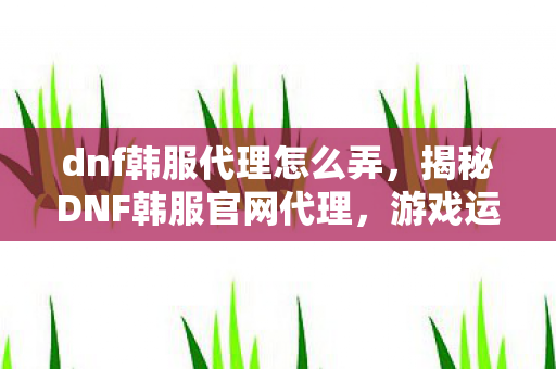 dnf韩服代理怎么弄,揭秘DNF韩服官网代理,游戏运营背后的故事 dnf韩服代理怎么弄,揭秘DNF韩服官网代理,游戏运营背后的故事