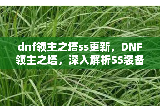 dnf领主之塔ss更新，DNF领主之塔，深入解析SS装备的秘密