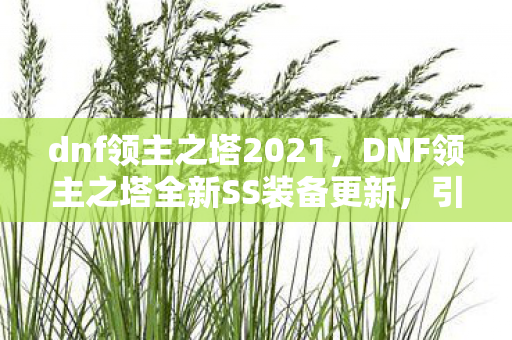 dnf领主之塔2021,DNF领主之塔全新SS装备更新,引领全新游戏时代! dnf领主之塔2021,DNF领主之塔全新SS装备更新,引领全新游戏时代!