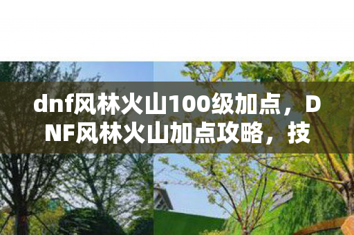 dnf风林火山100级加点，DNF风林火山加点攻略，技能分配与角色优化