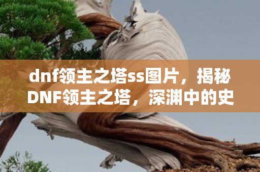 dnf领主之塔ss图片,揭秘DNF领主之塔,深渊中的史诗级挑战 dnf领主之塔ss图片,揭秘DNF领主之塔,深渊中的史诗级挑战