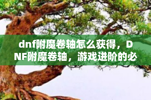 dnf附魔卷轴怎么获得，DNF附魔卷轴，游戏进阶的必备神器