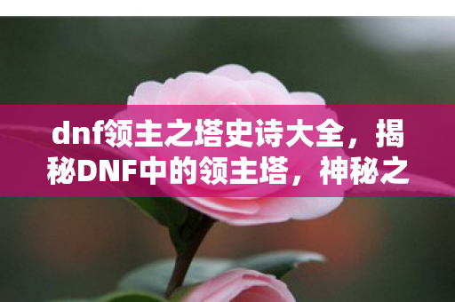 dnf领主之塔史诗大全，揭秘DNF中的领主塔，神秘之地与无尽挑战