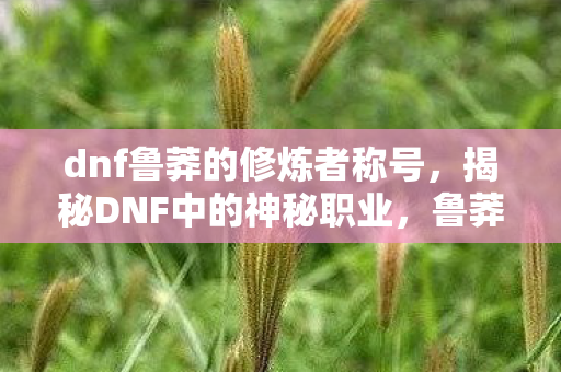 dnf鲁莽的修炼者称号,揭秘DNF中的神秘职业,鲁莽的修炼者 dnf鲁莽的修炼者称号,揭秘DNF中的神秘职业,鲁莽的修炼者