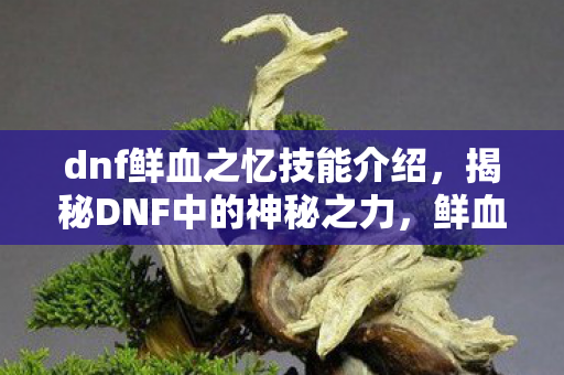 dnf鲜血之忆技能介绍,揭秘DNF中的神秘之力,鲜血之忆的奥秘与力量 dnf鲜血之忆技能介绍,揭秘DNF中的神秘之力,鲜血之忆的奥秘与力量