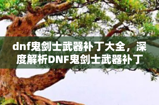 dnf鬼剑士武器补丁大全,深度解析DNF鬼剑士武器补丁,从外观到性能,全方位改变游戏体验! dnf鬼剑士武器补丁大全,深度解析DNF鬼剑士武器补丁,从外观到性能,全方位改变游戏体验!