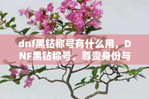 dnf黑钻称号有什么用，DNF黑钻称号，尊贵身份与游戏特权的象征