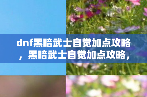 dnf黑暗武士自觉加点攻略,黑暗武士自觉加点攻略,提升你的DNF游戏体验 dnf黑暗武士自觉加点攻略,黑暗武士自觉加点攻略,提升你的DNF游戏体验