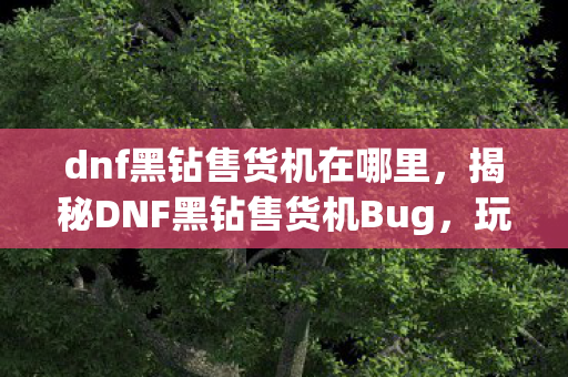 dnf黑钻售货机在哪里,揭秘DNF黑钻售货机Bug,玩家需注意的事项与应对策略 dnf黑钻售货机在哪里,揭秘DNF黑钻售货机Bug,玩家需注意的事项与应对策略