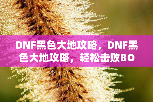 DNF黑色大地攻略,DNF黑色大地攻略,轻松击败BOSS,获取丰厚奖励 DNF黑色大地攻略,DNF黑色大地攻略,轻松击败BOSS,获取丰厚奖励