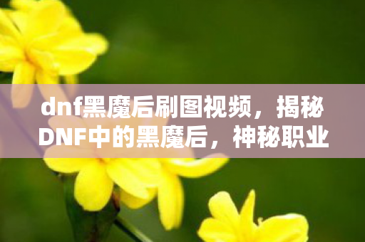 dnf黑魔后刷图视频，揭秘DNF中的黑魔后，神秘职业的魅力与挑战