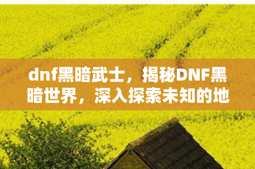 dnf黑暗武士,揭秘DNF黑暗世界,深入探索未知的地下城与勇士之路 dnf黑暗武士,揭秘DNF黑暗世界,深入探索未知的地下城与勇士之路