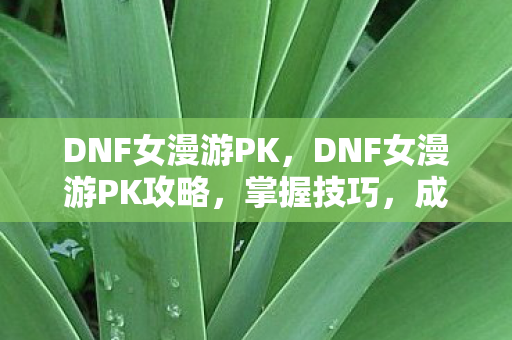 DNF女漫游PK,DNF女漫游PK攻略,掌握技巧,成为竞技场上的佼佼者! DNF女漫游PK,DNF女漫游PK攻略,掌握技巧,成为竞技场上的佼佼者!