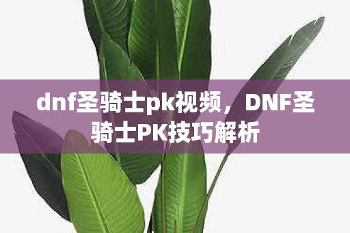 dnf圣骑士pk视频，DNF圣骑士PK技巧解析