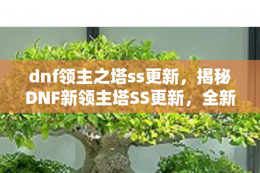 dnf领主之塔ss更新,揭秘DNF新领主塔SS更新,全新挑战与惊喜奖励等你来战! dnf领主之塔ss更新,揭秘DNF新领主塔SS更新,全新挑战与惊喜奖励等你来战!