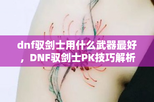 dnf驭剑士用什么武器最好,DNF驭剑士PK技巧解析 dnf驭剑士用什么武器最好,DNF驭剑士PK技巧解析